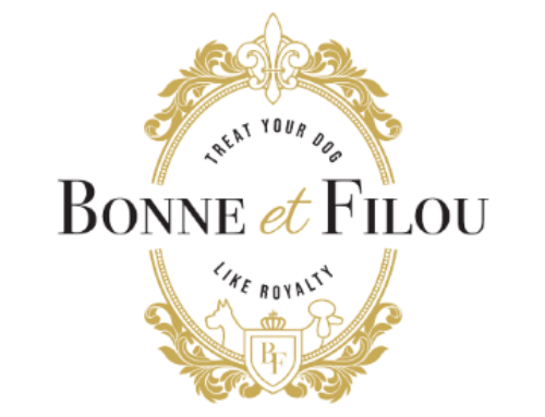 The New Petocracy: Inside Bonne et Filou, the Haute Patisserie for Posh Pups