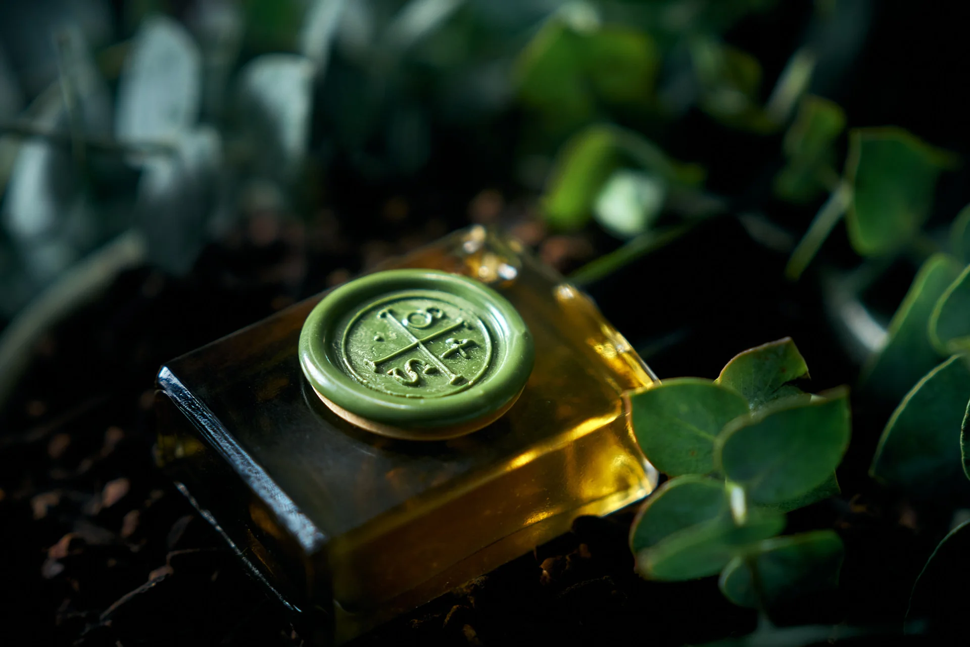 Eden Fragrance - Image 3